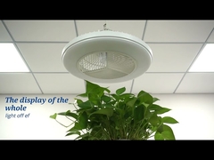 Contrôle intelligent d'application ventilateur de plafond affleurant du bâti LED de 20 pouces pour la chambre à coucher