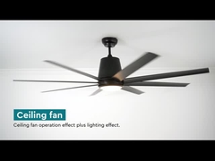 Économie d'énergie noire de profil bas lames en plastique de la fan de plafond de 64 pouces 8