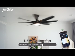 Lumière de ventilateur de plafond ABS noir avec lame ABS 110V