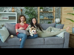 Ventilateur de plafond de 42 pouces avec lampe moteur à courant alternatif contrôle intelligent 4 lames en bois