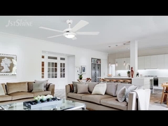 Ventilateur de plafond blanc de 52 pouces avec LED Light & Pull Chain 1stShine