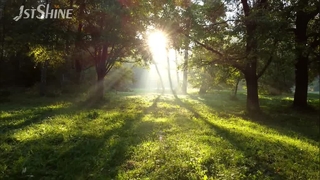 Support encastré moderne de lumière de ventilateur de plafond de 42 pouces
