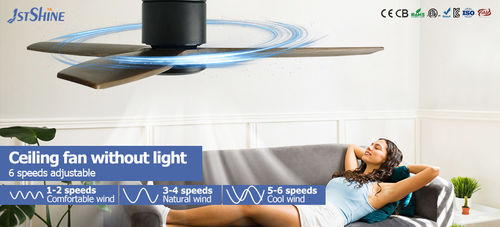 Dernières nouvelles de l'entreprise sur Stratégies de vente saisonnières pour les ventilateurs de plafond